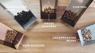 The+Science+Behind+Defective+Beans+and+How+They+Affect+Your+Roast