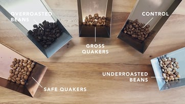 The+Science+Behind+Defective+Beans+and+How+They+Affect+Your+Roast