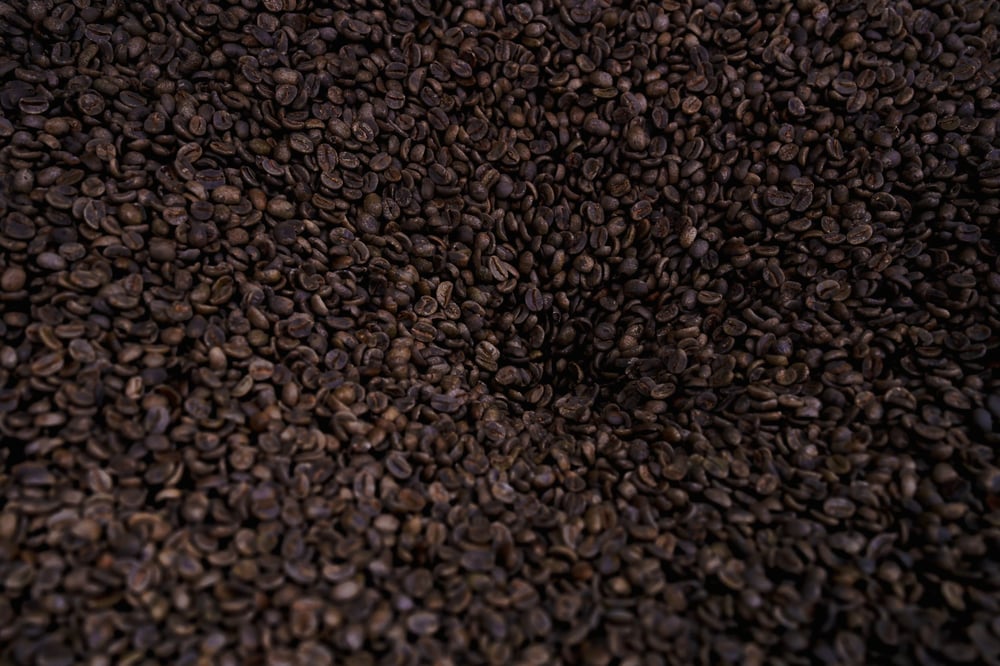 Precision Fill in use at Black and White, Raleigh, USA